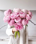 Sarah Bernhardtt Peonies - Laflora.ae