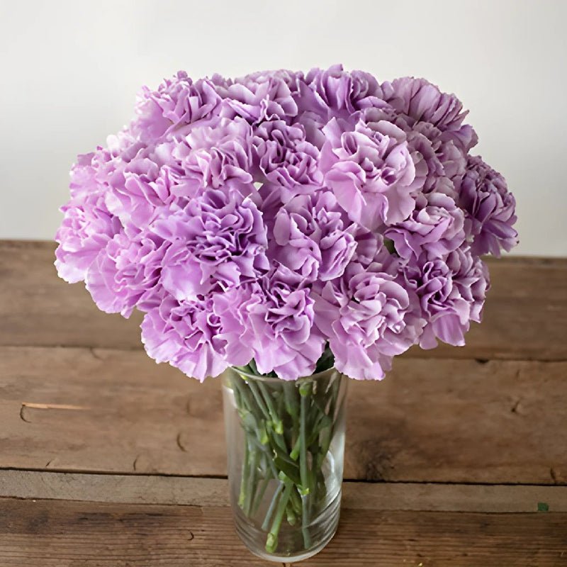 Carnation - Lavender (25 Stems) - Laflora.ae