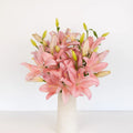 Lily - Light Pink Asiatic (10 Stems) - Laflora.ae