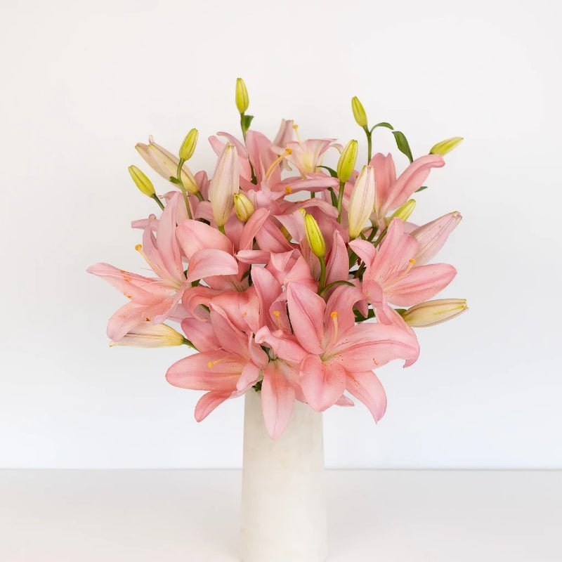 Lily - Light Pink Asiatic (10 Stems) - Laflora.ae
