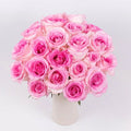 Rose - Mandala Pink (20 Stems) - Laflora.ae
