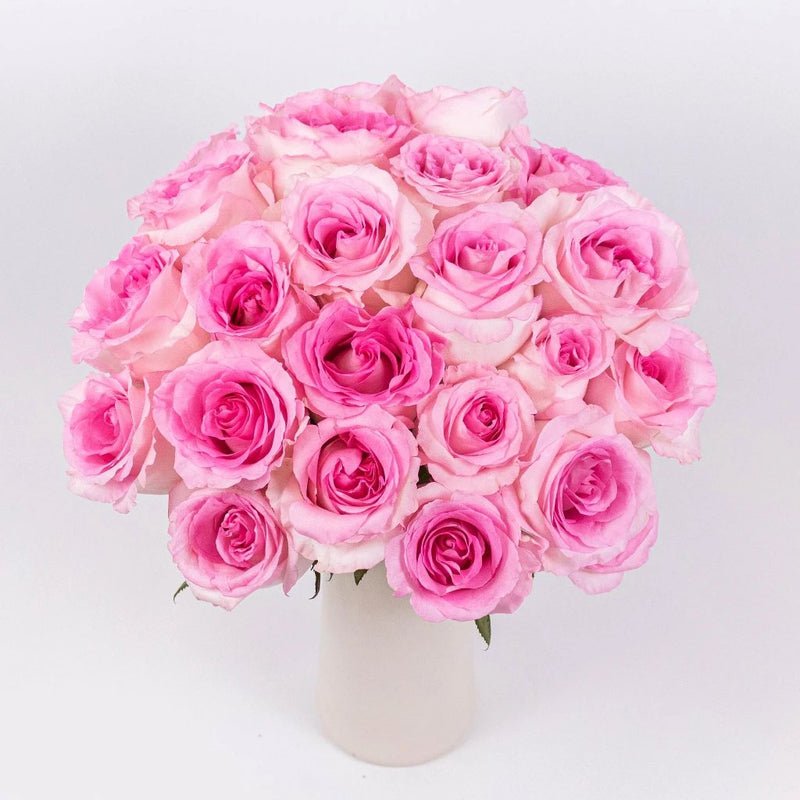 Rose - Mandala Pink (20 Stems) - Laflora.ae