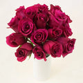 Rose - Deep Pink (20 Stems) - Laflora.ae