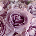 Rose - Lilac Amnesia (25 Stems) - Laflora.ae