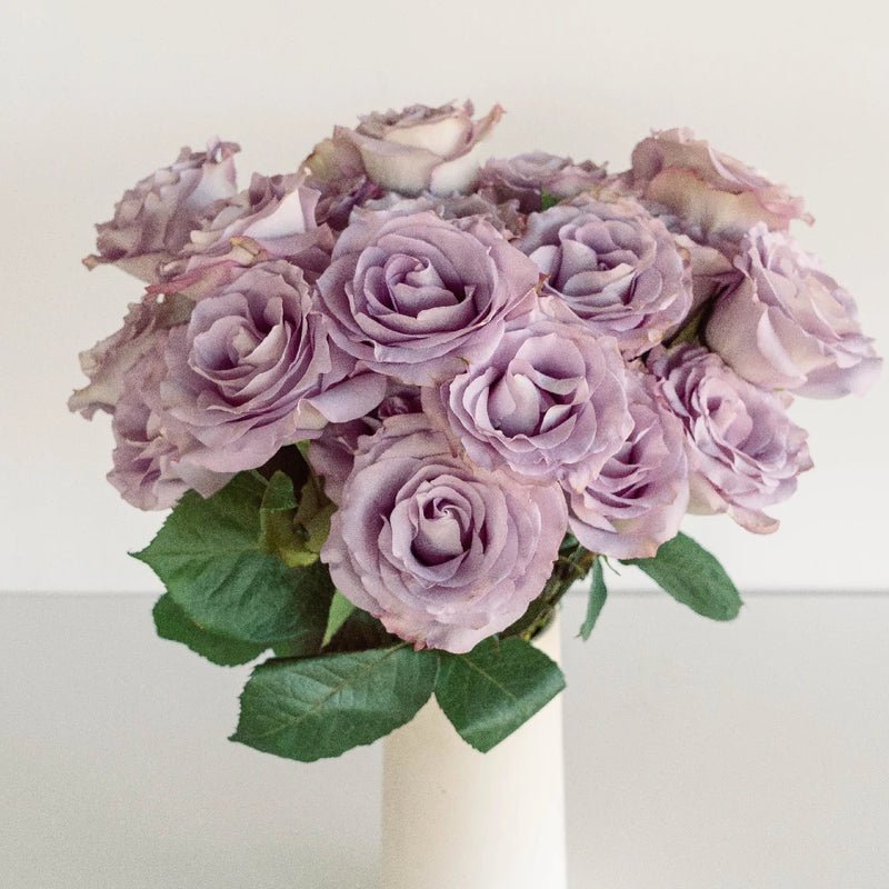 Rose - Lilac Amnesia (25 Stems) - Laflora.ae