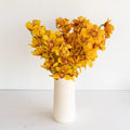 Cymbidium Orchid - Amber Orange Mini (1 Stem) - Laflora.ae