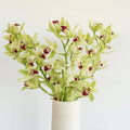 Cymbidium Orchids - Green Mini (1 Stem) - Laflora.ae