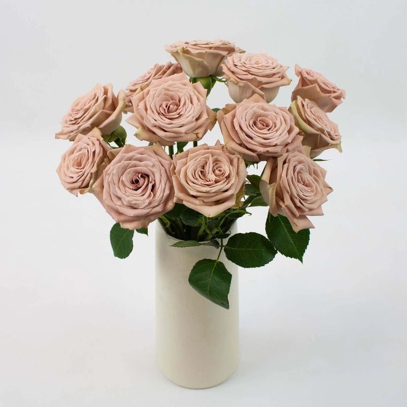 Rose - Mocca (20 Stems) - Laflora.ae
