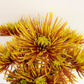 Chrysanthemum - Saffina (14 Stems) - Laflora.ae
