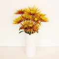 Chrysanthemum - Saffina (14 Stems) - Laflora.ae