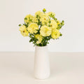 Ranunculus - Pale Yellow Butterfly (10 Stems) - Laflora.ae