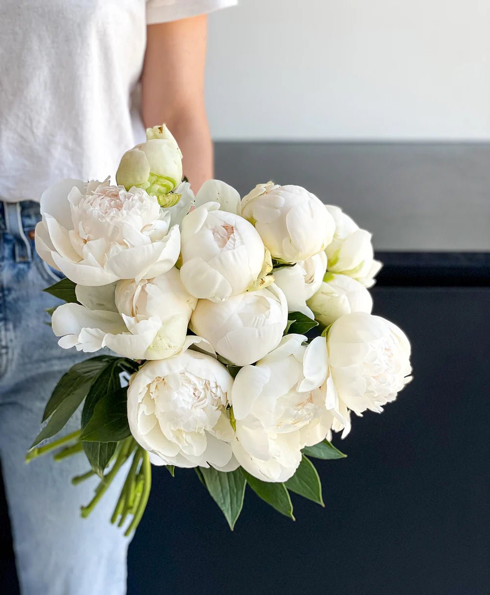 White Peonies - Laflora.ae