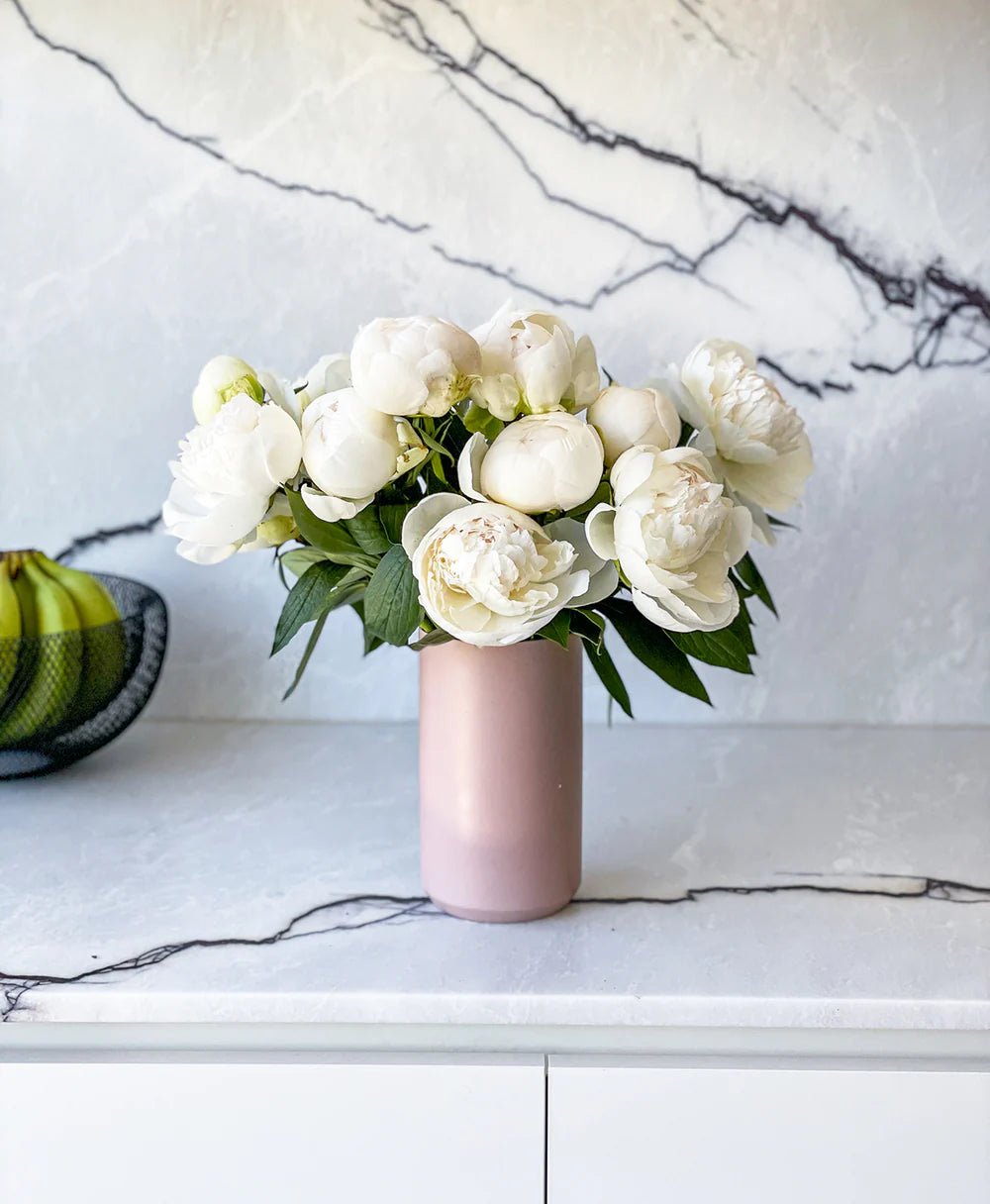 White Peonies - Laflora.ae