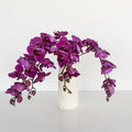 Phalaenopsis - Dark Purple (1 Stem) - Laflora.ae