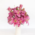 Lily - Pink Oriental (10 Stems) - Laflora.ae