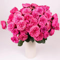 Rose - Pink Garden (12 Stems) - Laflora.ae
