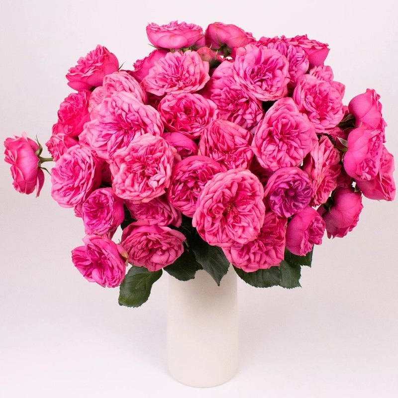 Rose - Pink Garden (12 Stems) - Laflora.ae