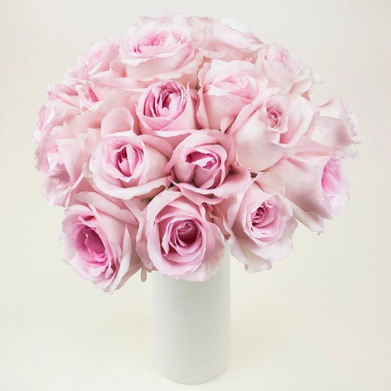 Rose - Soft Pink (20 Stems) - Laflora.ae