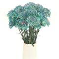 Carnation - Tinted Sailor (25 Stems) - Laflora.ae