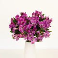 Purple Alstroemeria (Bunch) - Laflora.ae