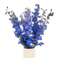 Delphinium - Royal Dark Blue (5 Stems) - Laflora.ae