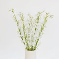 Delphinium - Royal White (7 Stems) - Laflora.ae