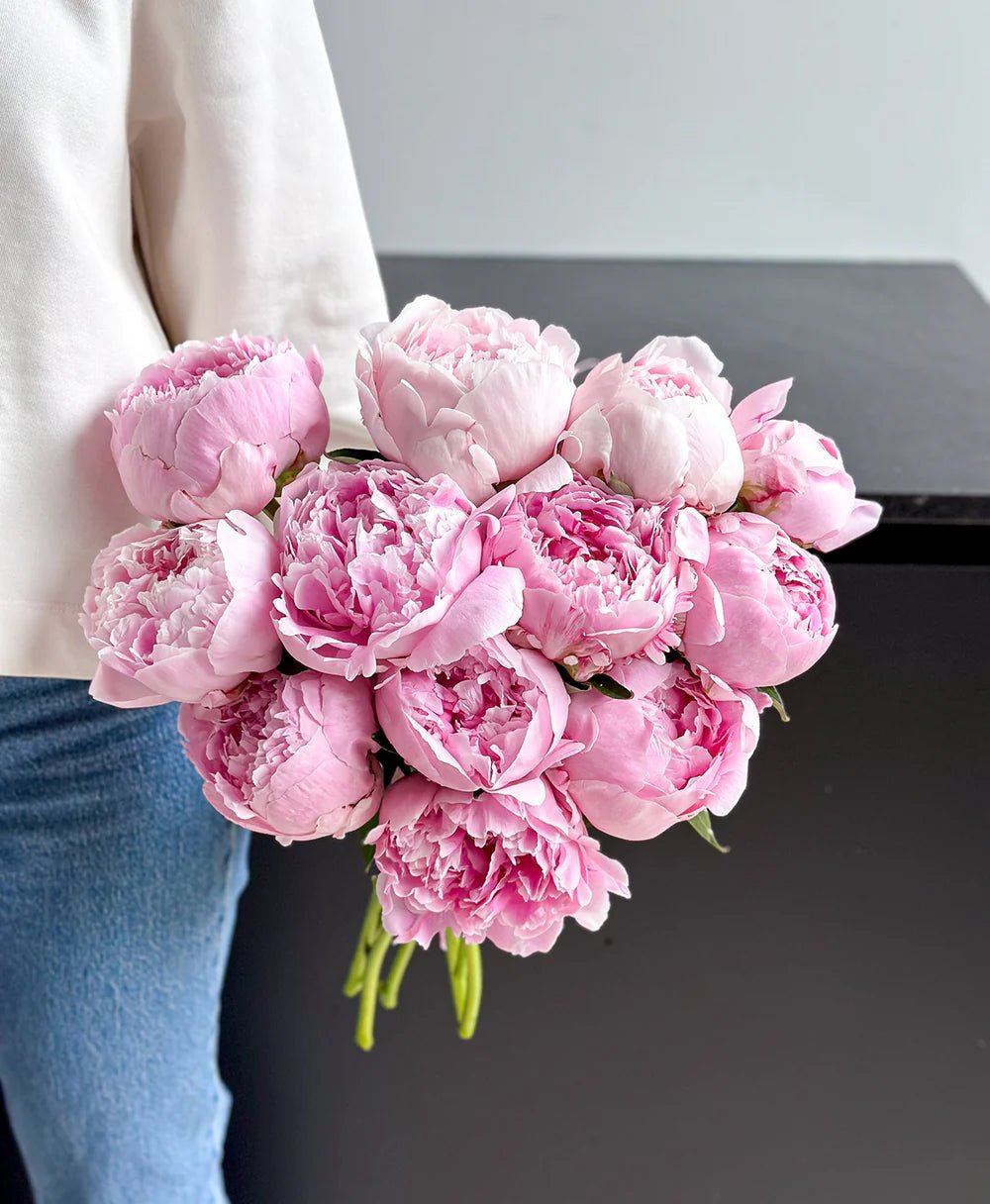Sarah Bernhardtt Peonies - Laflora.ae