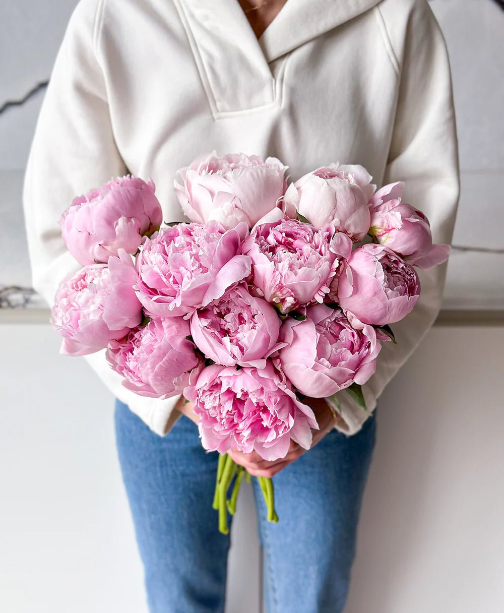 Sarah Bernhardtt Peonies - Laflora.ae