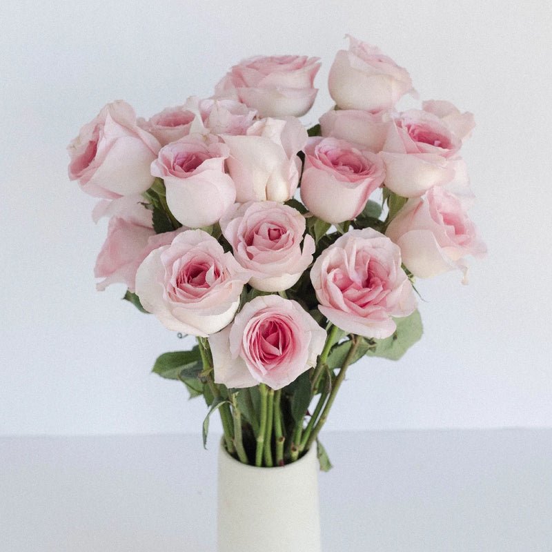 Rose - Esperance Soft Double Pink (20 Stems) - Laflora.ae
