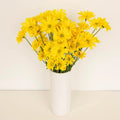 Chrysanthemum - Santini Rossi Sunny (10 Stems) - Laflora.ae