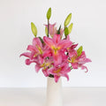 Lily - Tarango Watermelon Pink Oriental (10 Stems) - Laflora.ae