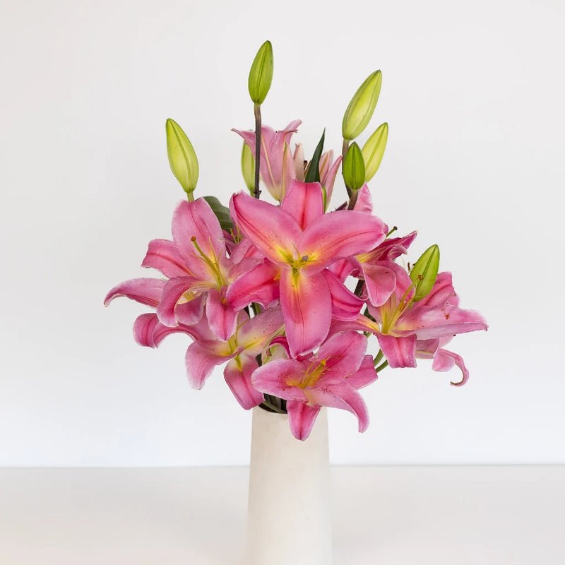 Lily - Tarango Watermelon Pink Oriental (10 Stems) - Laflora.ae