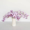 Phalaenopsis - Purple Orchids (1 Stem) - Laflora.ae