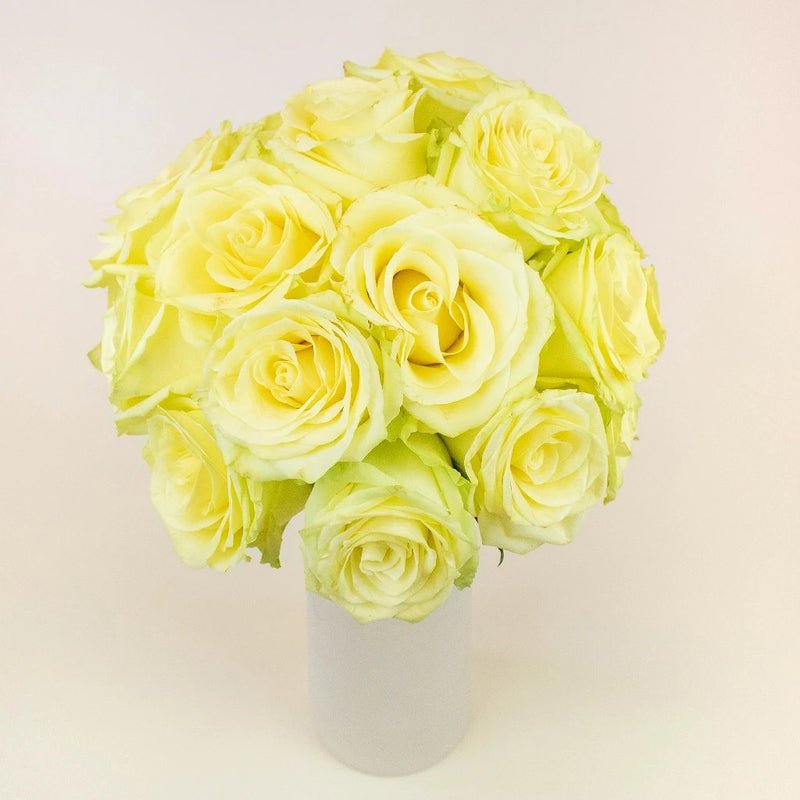 Rose - Camouflage (20 Stems) - Laflora.ae