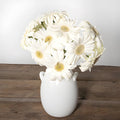 Gerbera - Bone White Mini (30 Stems) - Laflora.ae