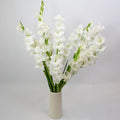 Gladiolus - White (10 Stems) - Laflora.ae