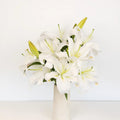 White Lily - Oriental (10 Stems) - Laflora.ae