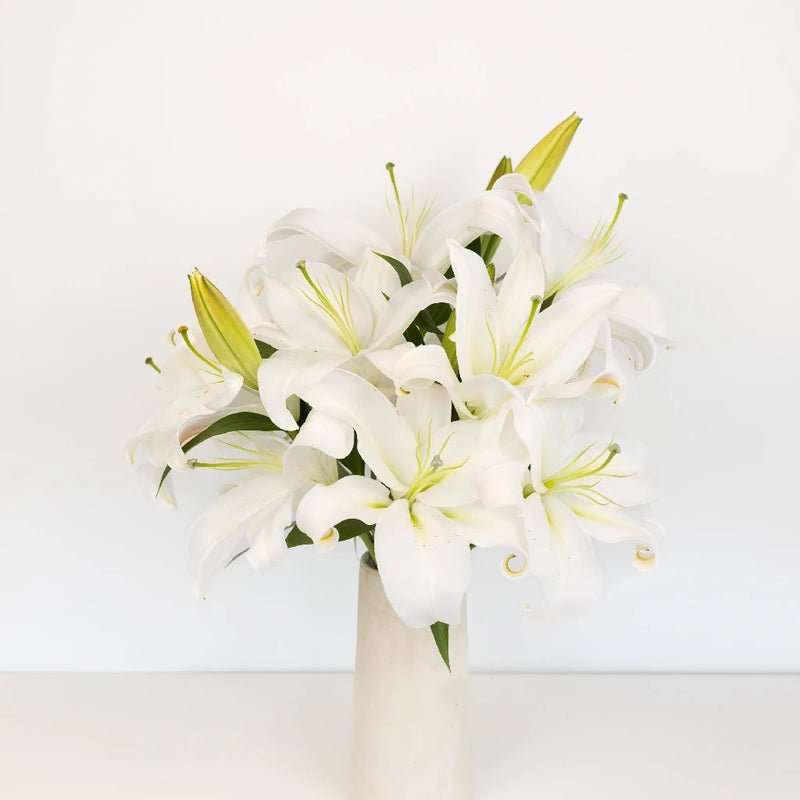 White Lily - Oriental (10 Stems) - Laflora.ae