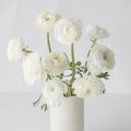 Ranunculus - Fresh White (10 Stems) - Laflora.ae
