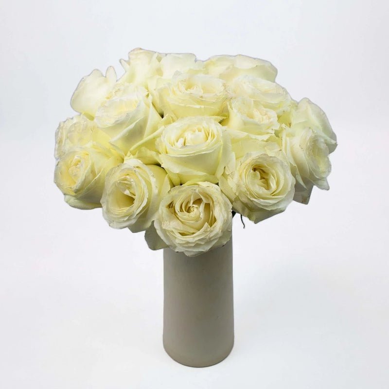 Rose - Proud White (20 Stems) - Laflora.ae