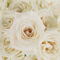 Rose - Playa Blanca (20 Stems) - Laflora.ae