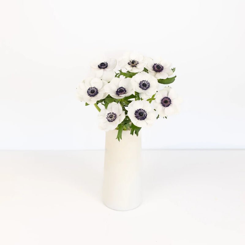 Anemones - White (10 Stems) - Laflora.ae
