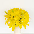 Lily - Yellow Asiatic (5 Stems) - Laflora.ae
