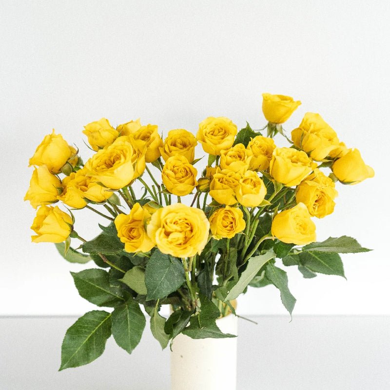 Spray Roses - Yellow (10 Stems) - Laflora.ae