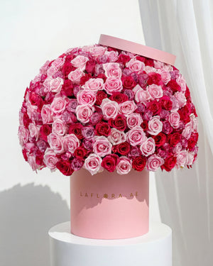 Send Rose Collection to Dubai