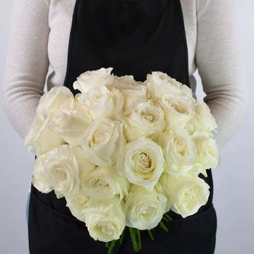 Rose - Proud White (20 Stems)