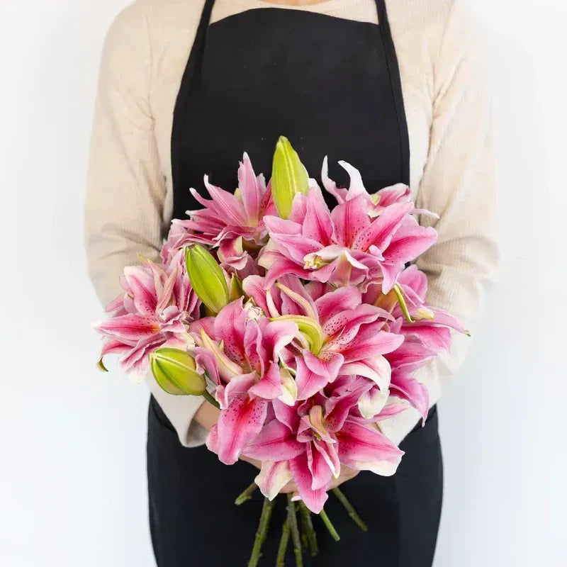 Lily - Double Bloom Watermelon (5 Stems)