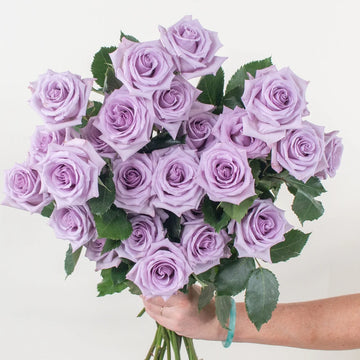 Rose - Lavender (25 Stems)