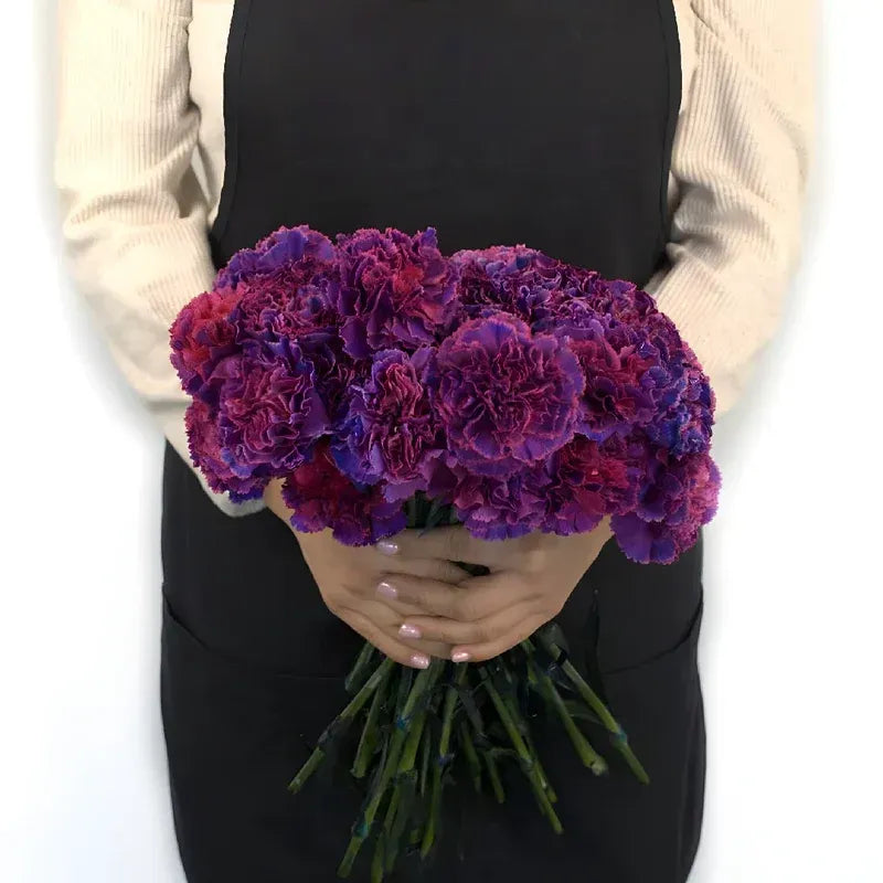 Carnation - Purple Magenta (25 Stems)