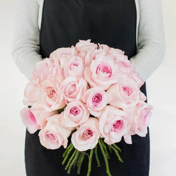 Rose - Soft Pink (20 Stems)